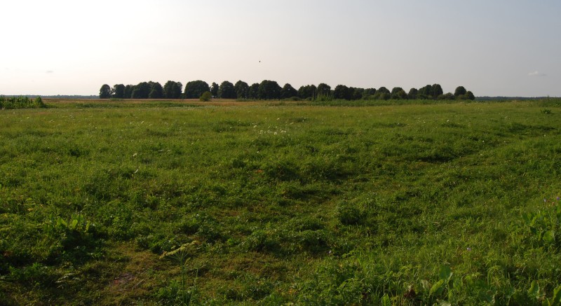 Grzegorz Naumowicz / WikiMedia / CC BY-SA 3.0