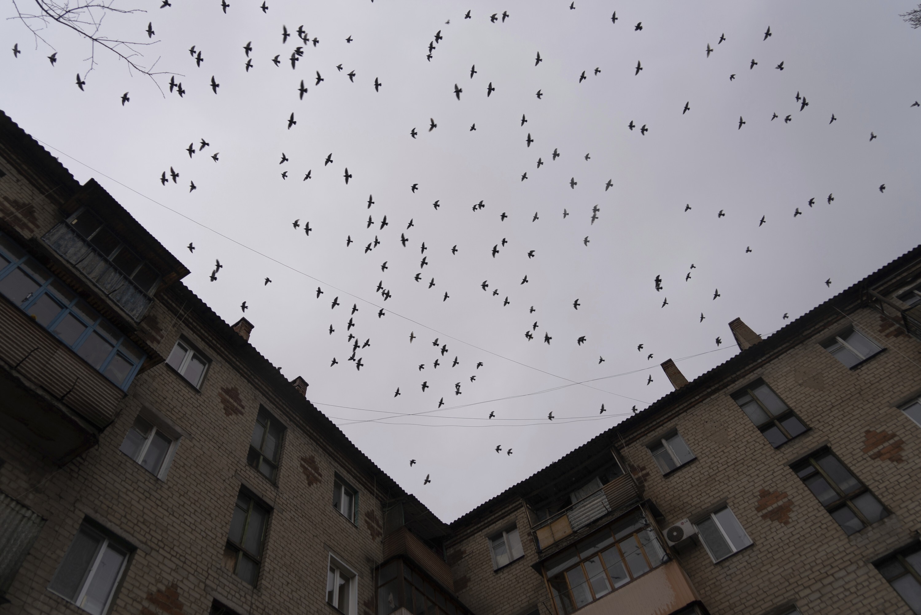 ADVANCE TO GO WITH Russia Ukraine War Airpower-Birds fly over a residential building in Kostyantynivka, eastern Ukraine, Tuesday, Feb. 8, 2022. The Russian airstrike on a childrens and maternity hospital in the Ukrainian port city of Mariupol is the latest in a series of attacks that has gutted apartment blocks and killed people in their homes or simply going about their business. Allegations of war crimes, impossible yet to prove, are mounting and an investigation is underway at the International Criminal Court. Russias willingness to use overwhelming force aerial bombardment and artillery in civilian areas is already drawing comparisons with its attacks in Chechnya and Syria (AP Photo/Mstyslav Chernov, File)