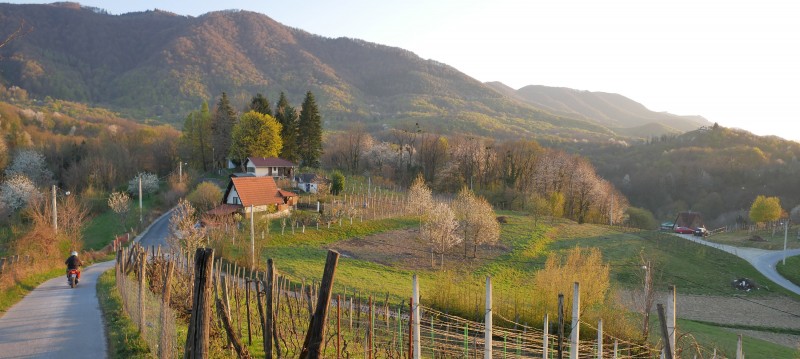 Marko K. (advance.hr)