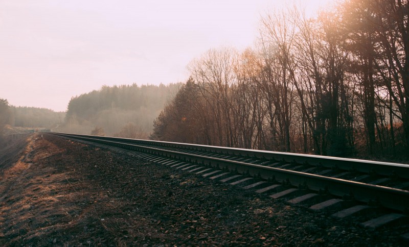 Irina Iriser / Pexels