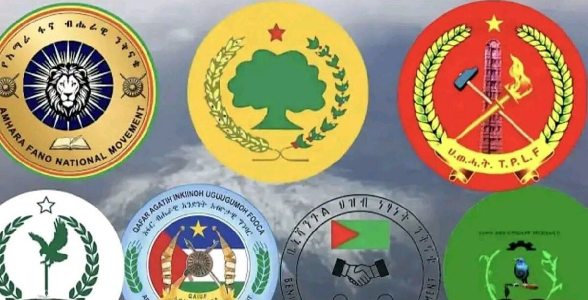 Organizacije koje su se udružile