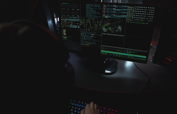 Cyber kriminal