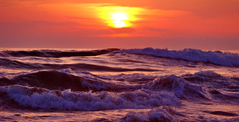 Sascha Thiele / Pexels