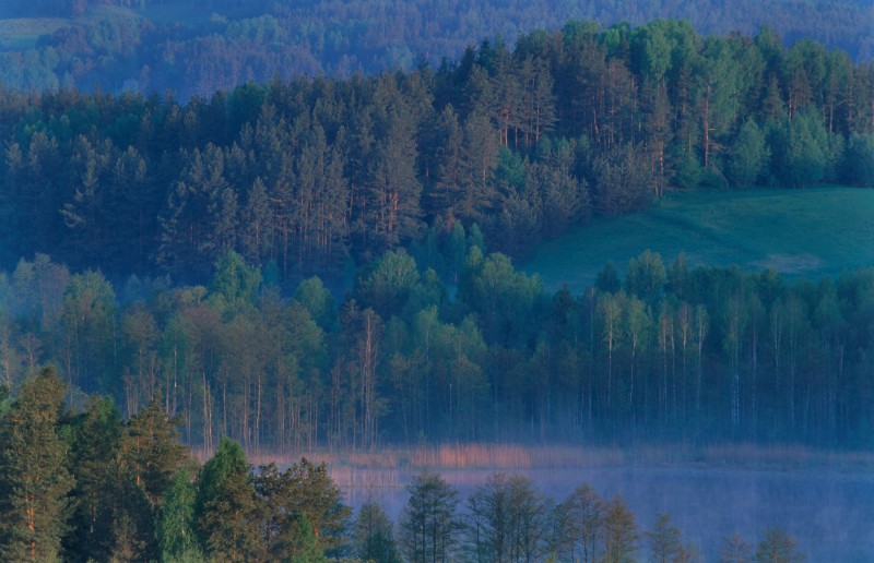 Priroda na prostoru Suwalki koridora (izvor: Imago Lifestyle/Guliver Image)