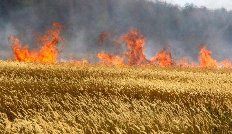 AP Photo/Mikhail Metzel/Guliver Image