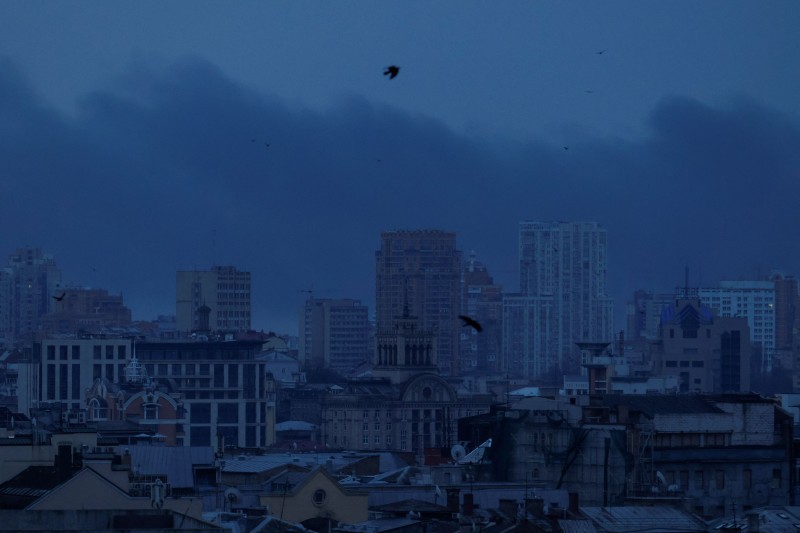 REUTERS/Anna Voitenko/Guliver Image