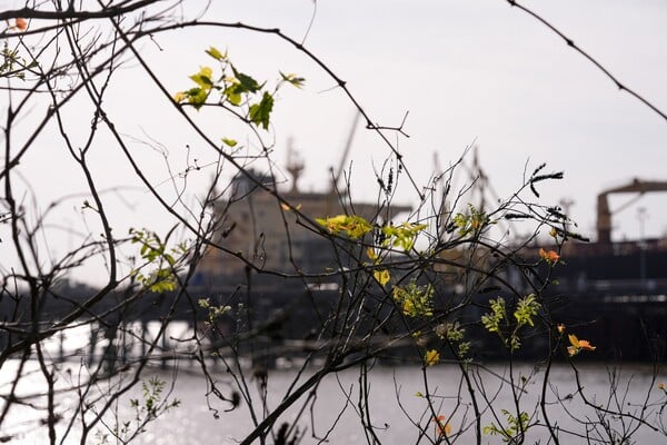 Rat i definiranje nove strategije: Amerika na vrhuncu naftne moći i paradoks sustava koji istovremeno izvozi i ovisi