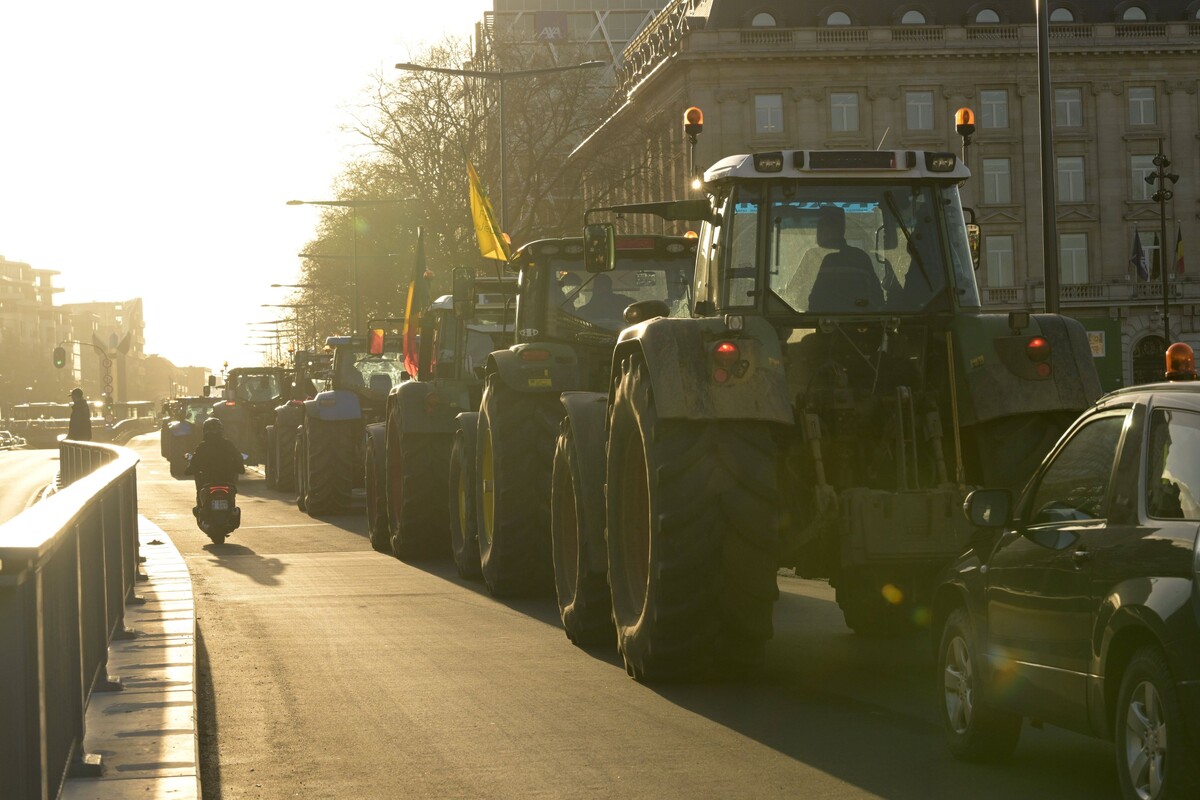 Imago Lifestyle / Philip Reynaers / Guliver Image