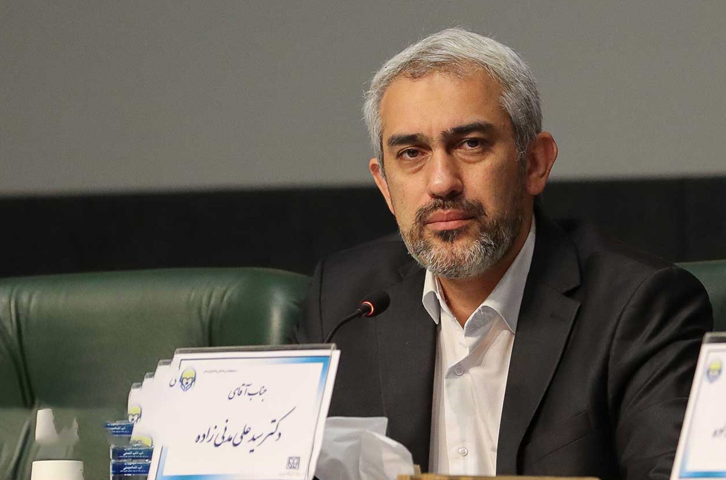 Seyed Ali Madanizadeh