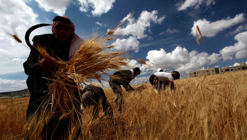AP Photo/Mohammad Hannon/Guliver Image