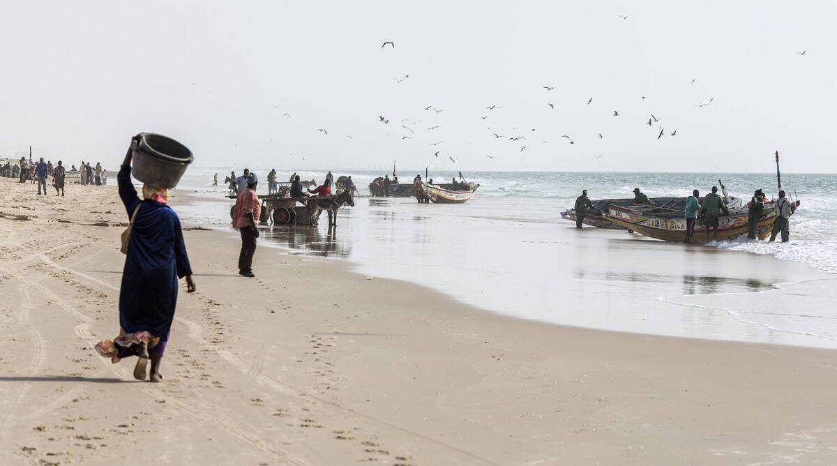 Nouakchott, Mauritanija (izvor: Thomas Imo / Guliver Image)
