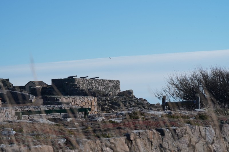 Reuters/Guliver Image