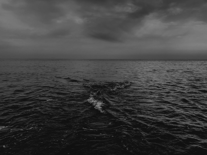 Vasy Cotorobai / Unsplash