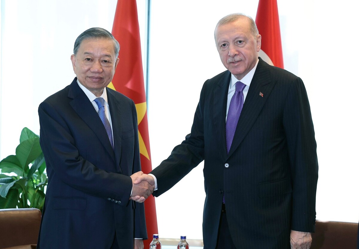 To Lam i Erdogan