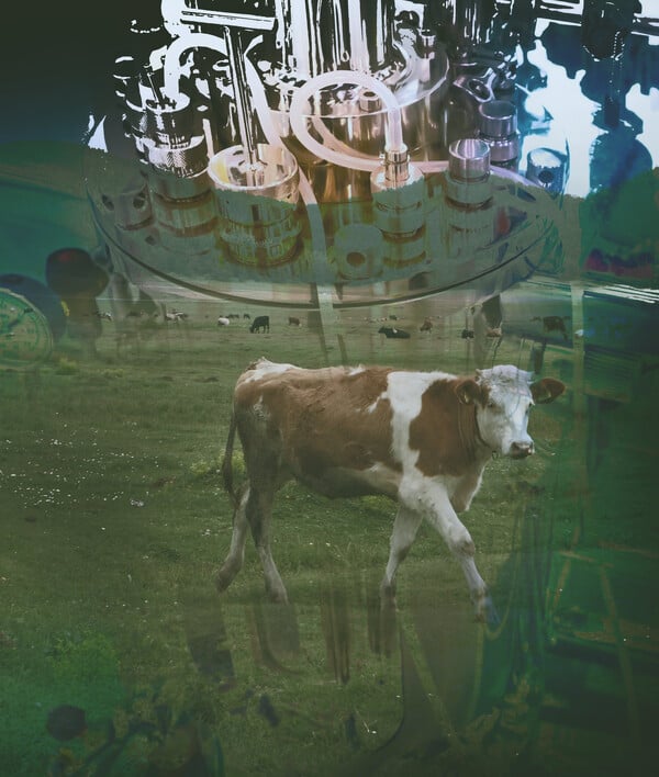 Transformacija biomanufakture