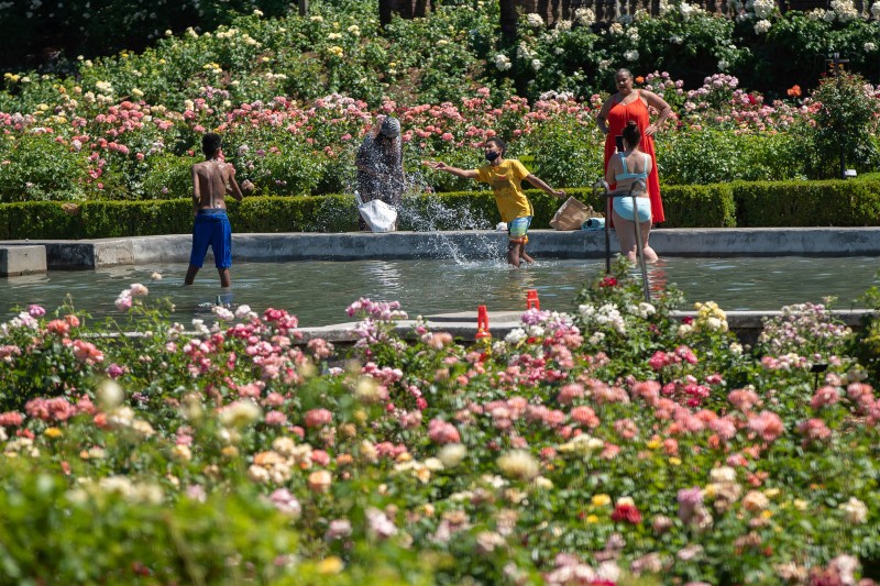 Mark Graves/The Oregonian via AP/Guliver Image
