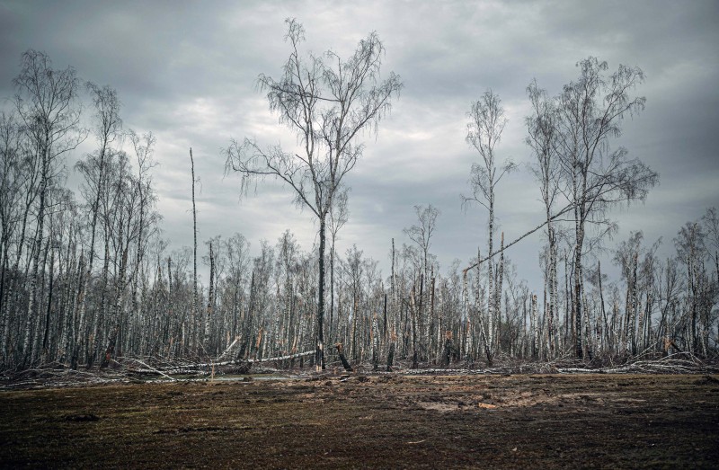 Imago Lifestyle / Denis Vejas / Guliver Image