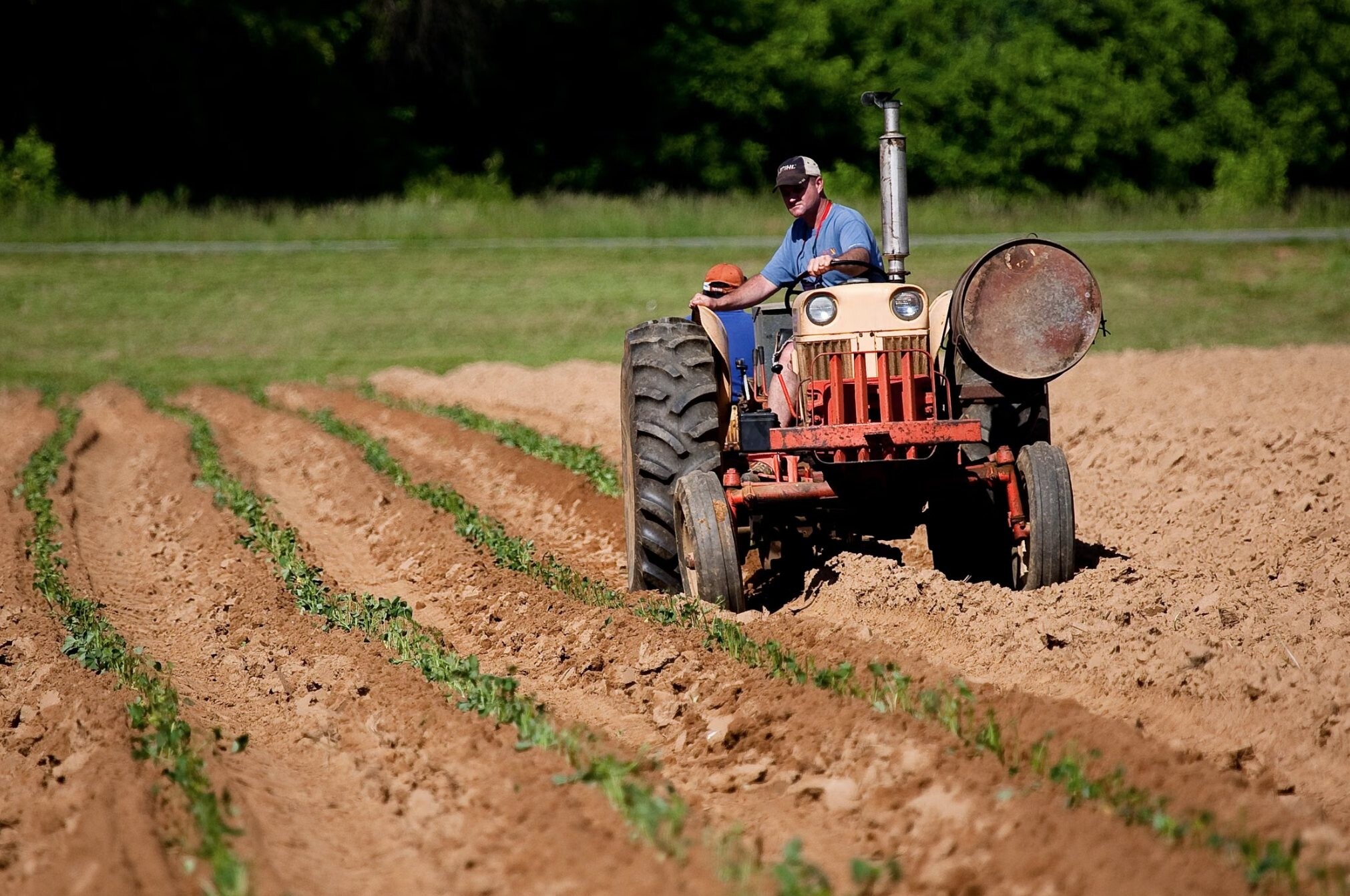 Američki farmer